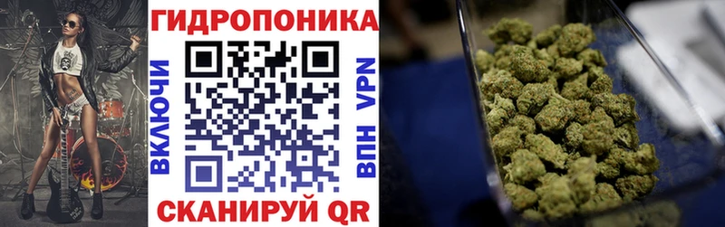 закладка  Обнинск  Канабис Amnesia 